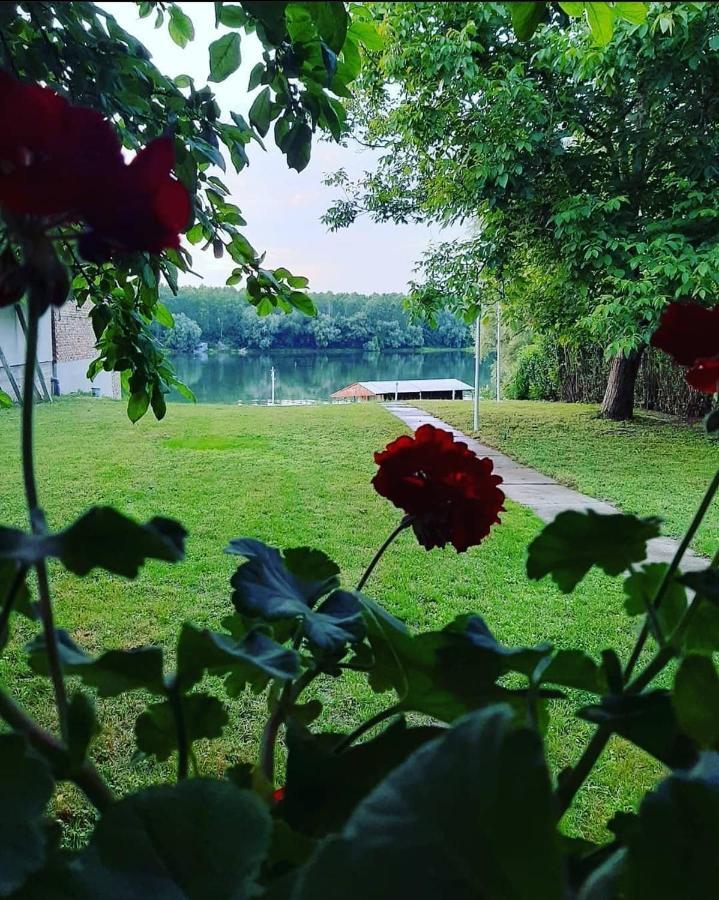 Willa Kuca Ribarev San Beocin Zewnętrze zdjęcie